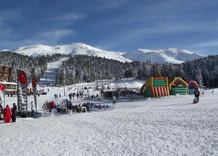 Maison Plein Pied Sur Grand Terrain Vielle