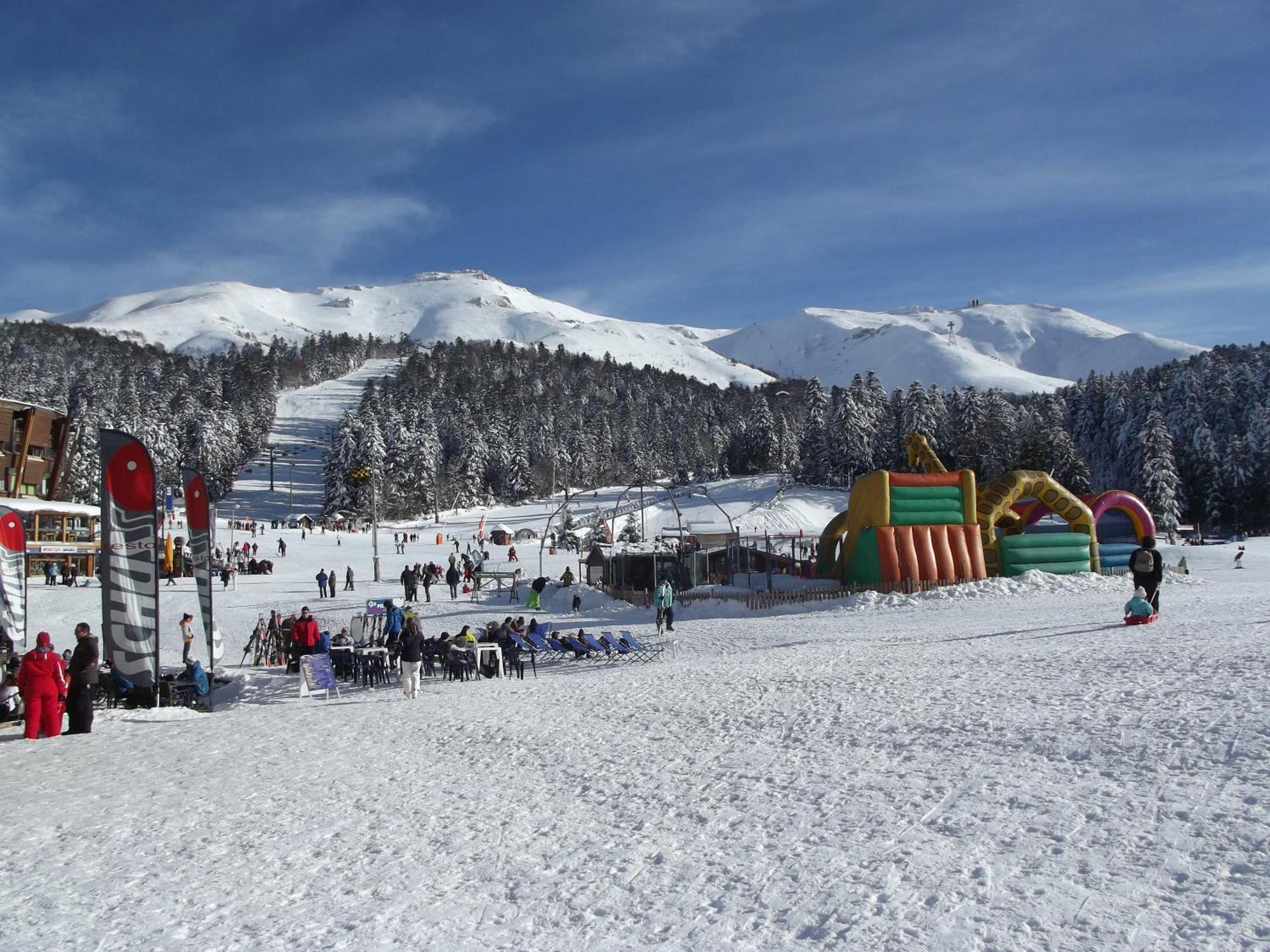 Maison Plein Pied Sur Grand Terrain Vielle *